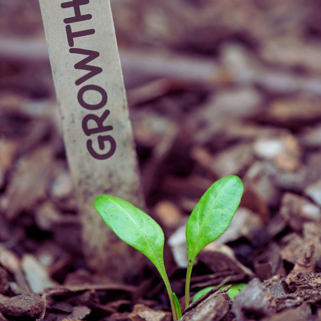 Embrace Self-Growth As Allah's Khalifah and Become an Asset to the Ummah

